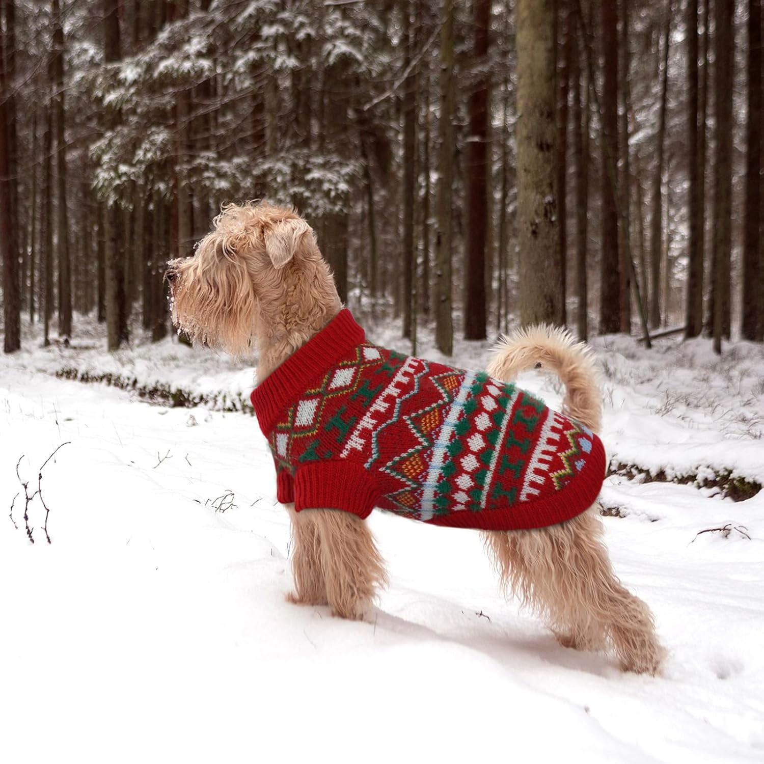 Hjumarayan Boho Dog Jumper - Christmas Jumper for Small Dogs, Beautiful Thick Dog Jumper, French Bulldog Chihuahua (Red-Green, M) image number 5