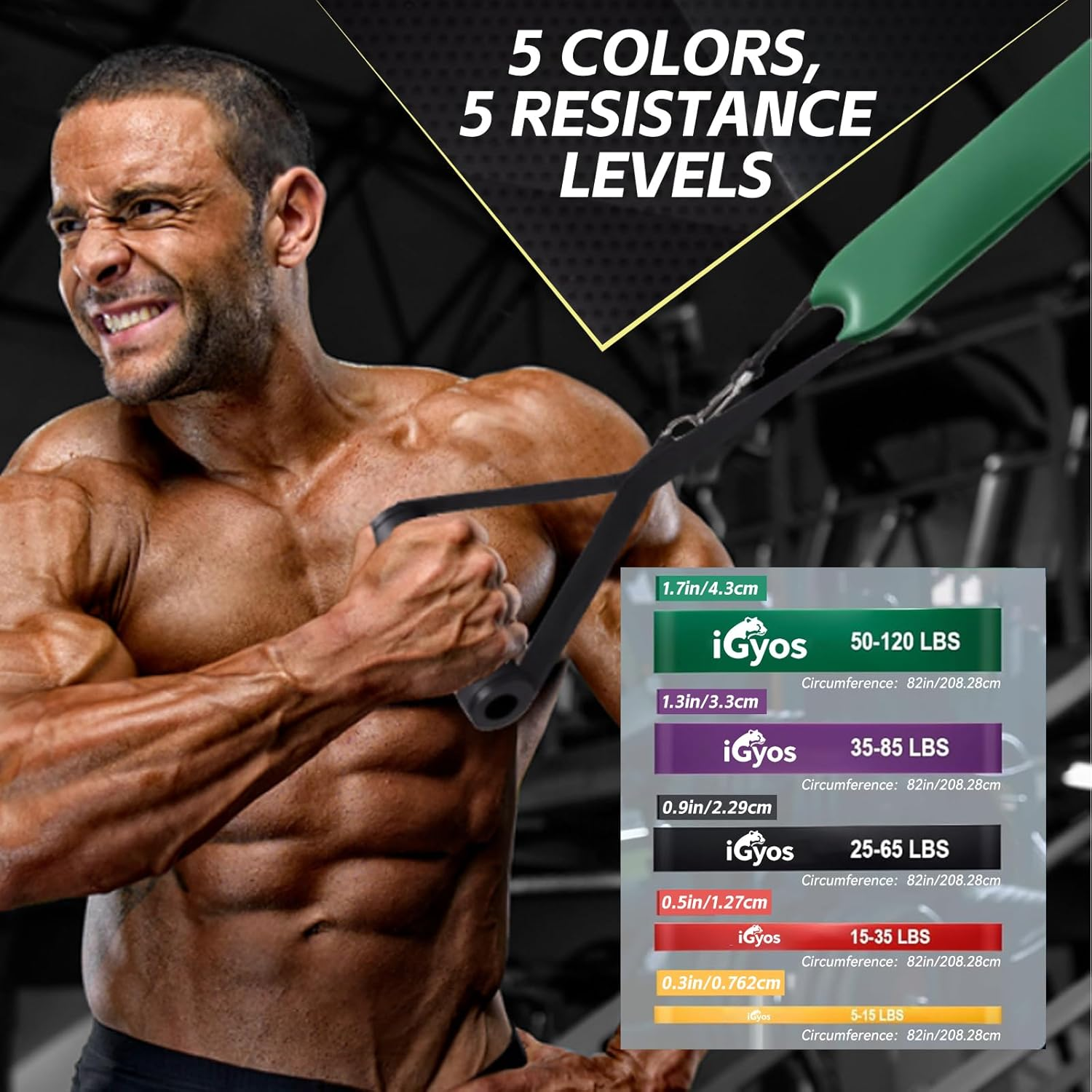 Igyos 9 Pcs Resistance Bands Set, 5-Level Exercise Bands with Handles & Door Anchor, Workout Bands for Strength Training, Physical Therapy, Home Gym Fitness Equipment for Men and Women