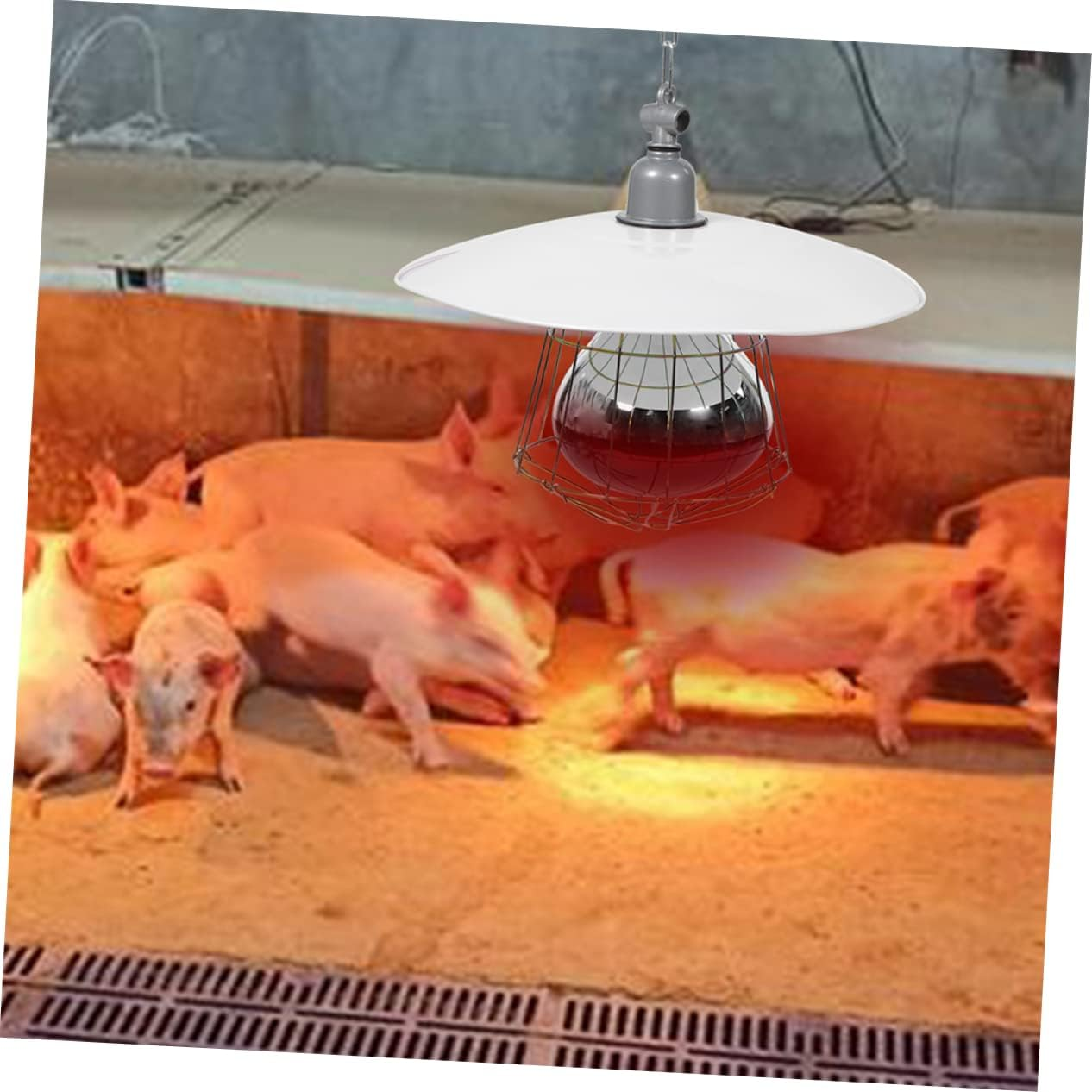 BESPORTBLE 250W Heat Light Lamp for Chicks Livestock Heating Tool Safe Warming Lamp Kit image number 6