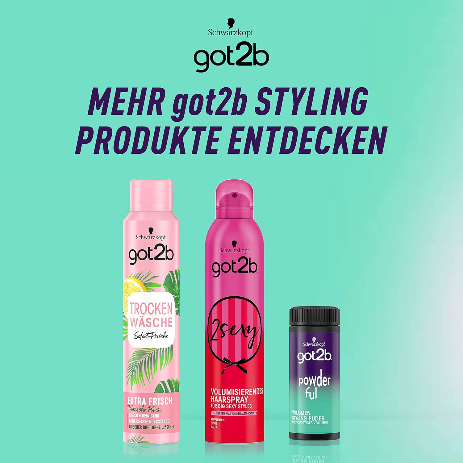 Got2B Schwarzkopf Powder' Full Hairline Powder Volume 10 G