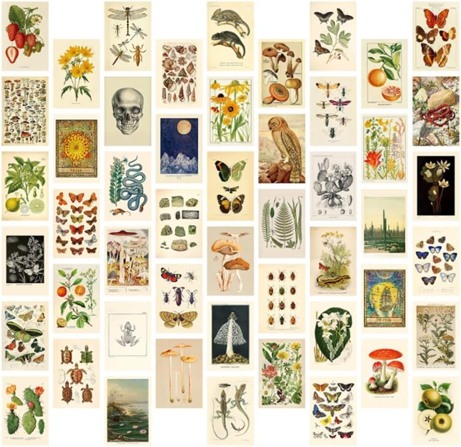 Ceahoify Vintage Aesthetic Wall Collage Kit - 50 Mini Botanical Collage Art Posters (4X6Inch), for Photo Wall image number 3