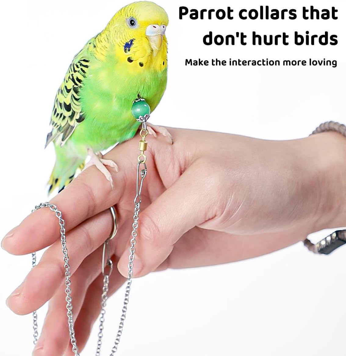 Stainless Steel Bird Neck Ring and Chain, Training Equipment for Starlings, Tiger Skin Birds, Peonies, and Parrots, with Live Buckle image number 3