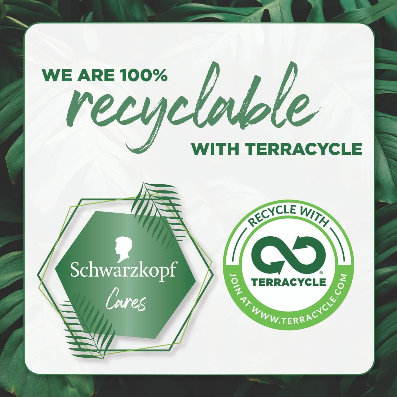 Schwarzkopf Extra Care Blonde Purple Shampoo 250 Ml image number 4