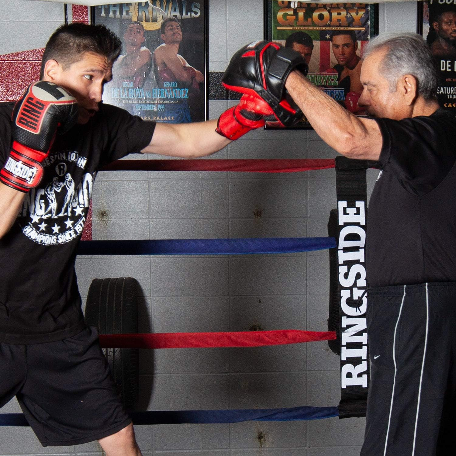 Ringside Pro Panther Boxing MMA Punch Mitt