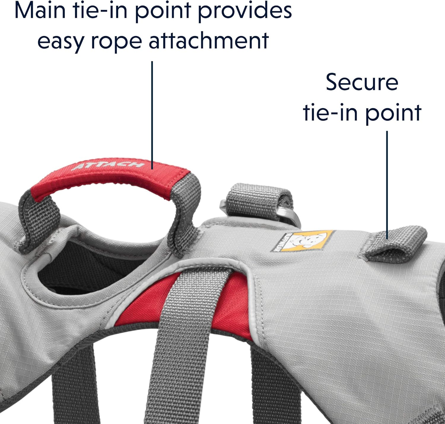 RUFFWEAR - Doubleback, Strength-Rated Belay Dog Harness, Rock Climbing & Backpacking, Strength-Rated to 2,000 Lbf/8.9 Kn, Cloudburst Gray, Medium