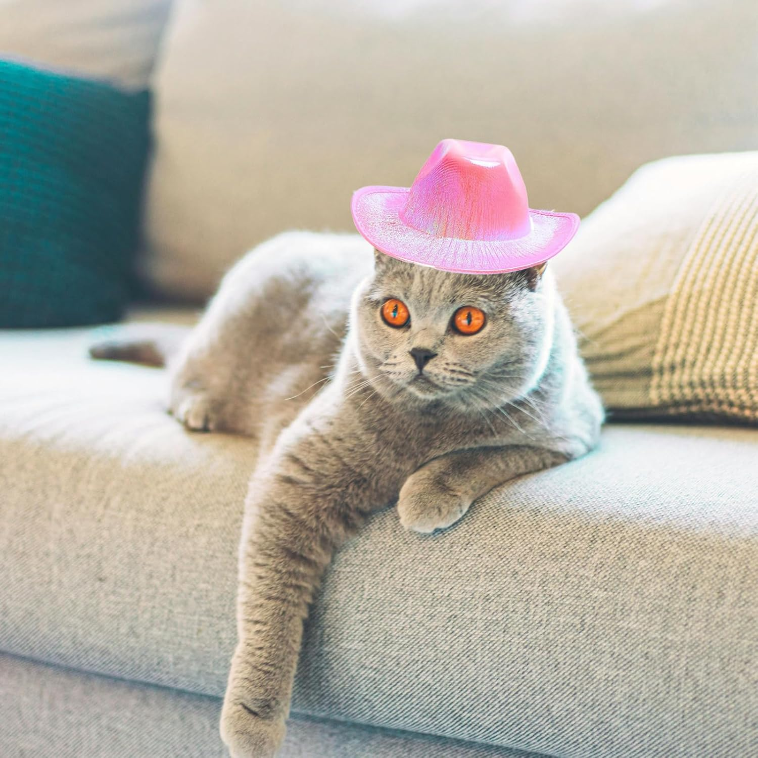 Dog Cowboy Hat Dog Catcostume Bandana West Cowboy Accessories for Pet Metallic Space Shiny Cowboy Hats (Pink) - Pink image number 2