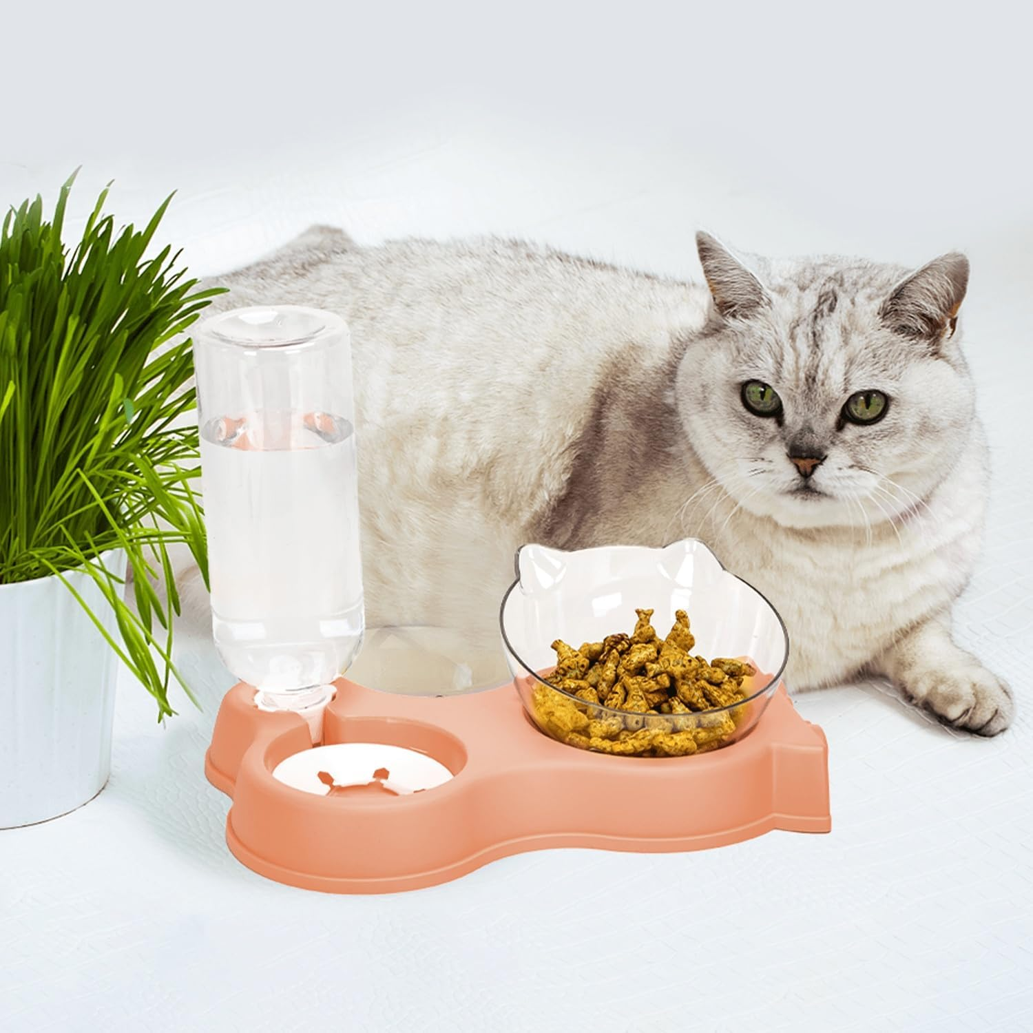 Patapalooza 2 in 1 Cat Food and Water Kits, Compact Design, Easy to Clean, Durable Materials, Ideal for Food and Hydration image number 2