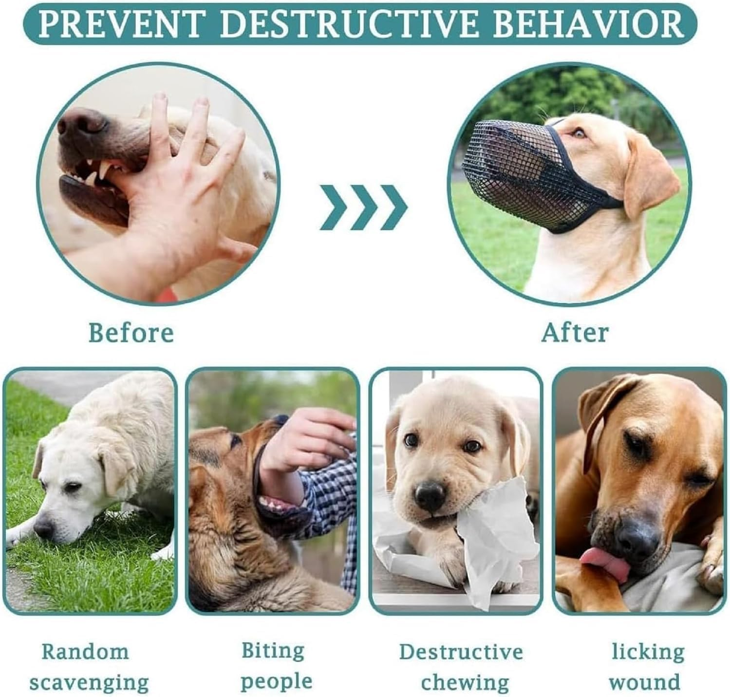 Dog Mask, Soft Mesh Mask, round Mesh Dog Mask, Prevents Eating, Biting and Chewing, Adjustable Poison Bait Protective Mask Suitable for Small and Medium-Sized Dogs (Black, M)