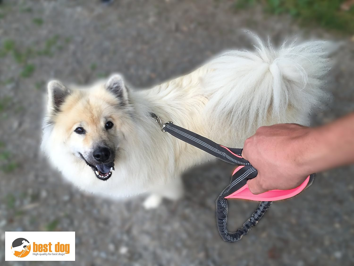 Best Dog Premium Dog Lead for Large Dogs (Pink-Grey) image number 2