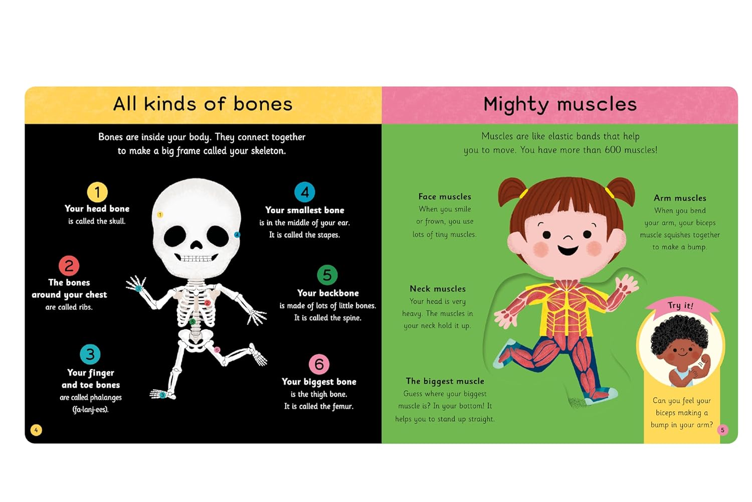 My First Body Book: Explore Your Body with Windows and Sliders image number 4