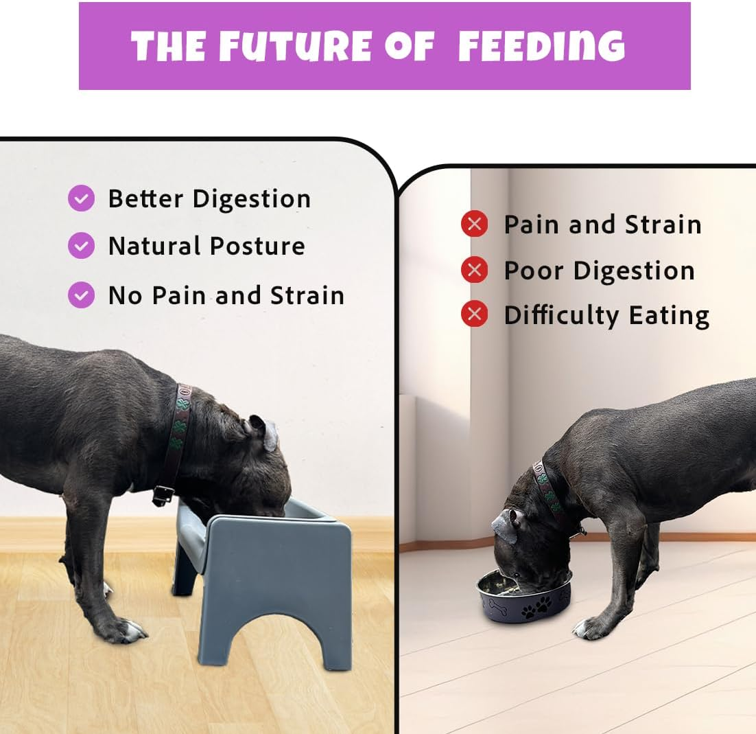 Fluff Trough Elevated Slow Feeder Dog Bowl - Prevents Fast Eaters from Binging & Choking on Food, Minimizes Neck Strain, Suitable for Flat-Faced Pets, Vet Recommended, Dishwasher Safe, Purple image number 4