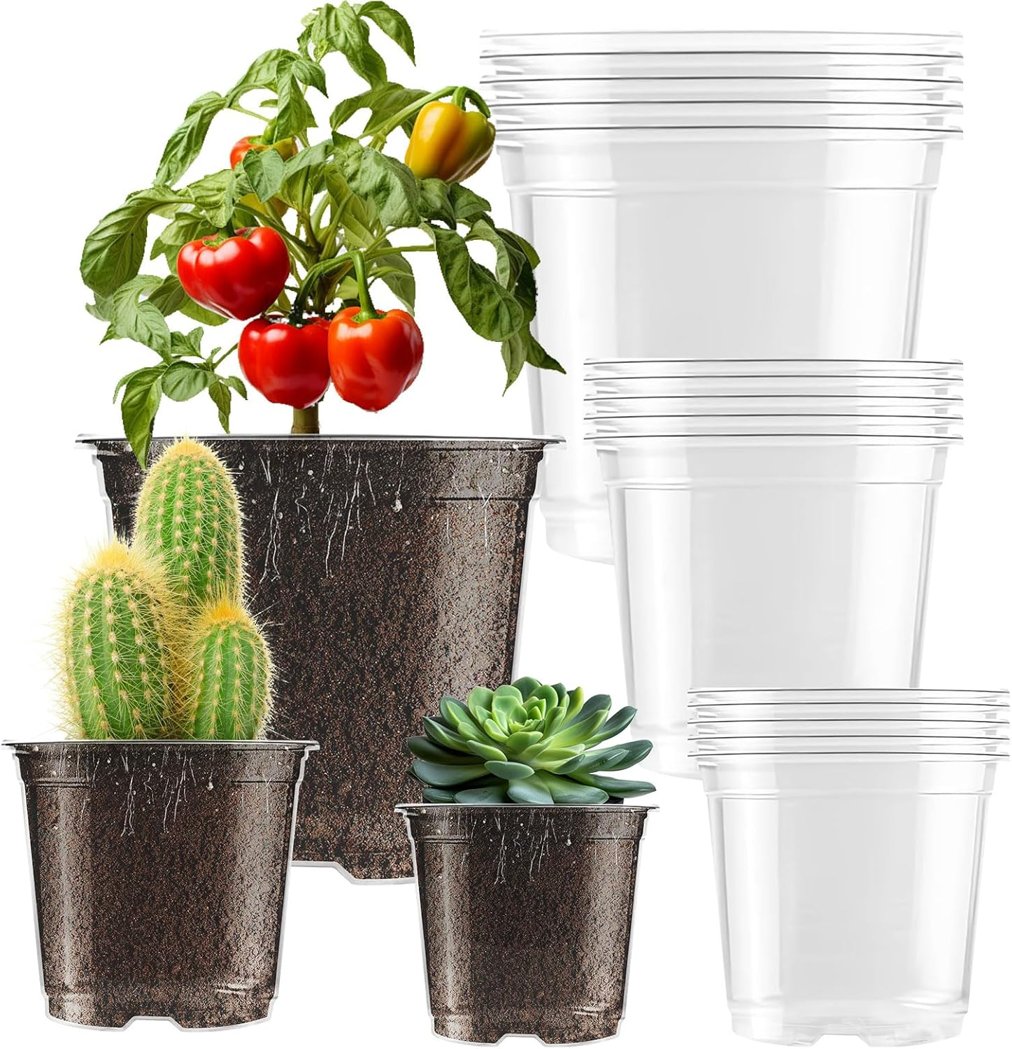 Clear Nursery Pots for Plants, 3.5/4/5 Inch Plastic Plant Flower Pot with Drainage Holes High Transparency Seedling Planter for Seed Starter (15PCS) image number 1