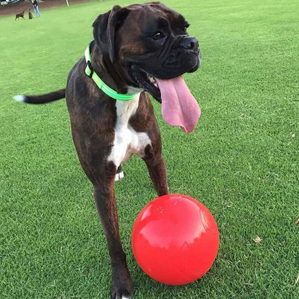 Aussie Dog Products 24Cm Enduro Interactive Hard Ball Toy Pet Outdor Red L image number 4