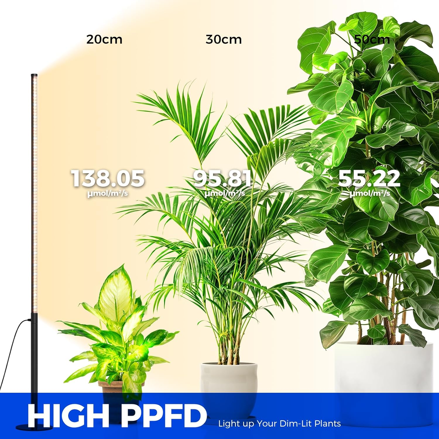 Barrina T10 Pro Standing Plant Light with Timer, 42W, 169 Leds, Full Spectrum Vertical Grow Lights for Indoor Plants, Wide Coverage, 120Cm to 170Cm Height with Foot Switch, Flowering and Tall Plant image number 4