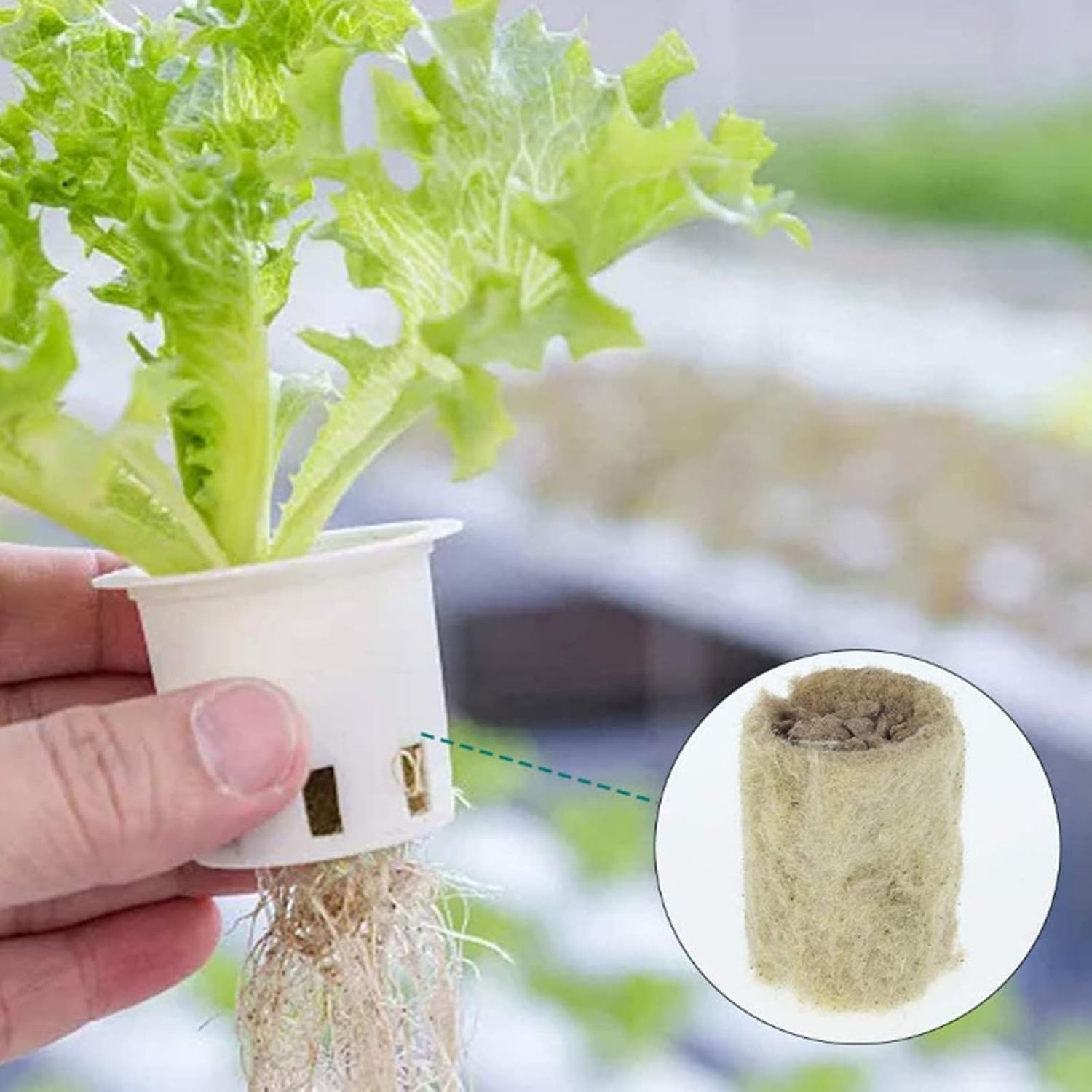 PETSOLA 50 Pieces Garden Flower Seed Starter Plugs Cubes Rock Wool Nursery Block image number 5