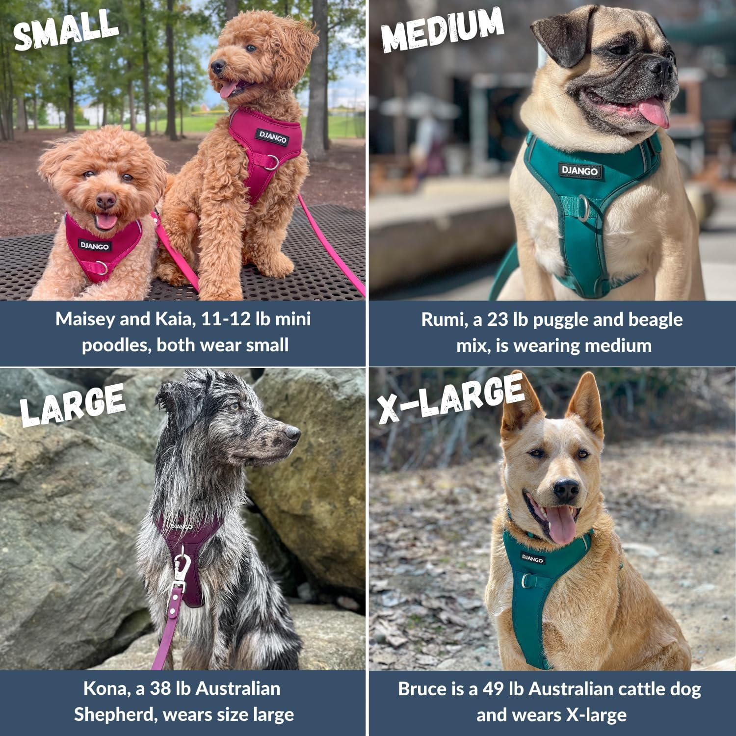 Django Tahoe No Pull Dog Harness &ndash; Comfortable, Durable, & Padded Dog Harness with Front & Back D-Rings &ndash; Adjustable & Secure Harness for Outdoor Adventures & Everyday Use (Alpine Blue, Small) image number 4