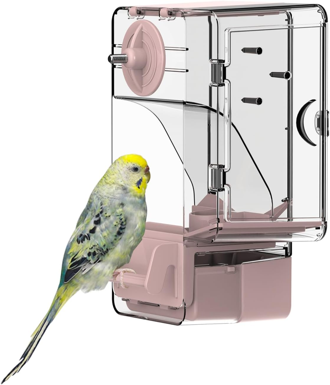 Automatic Bird Feeder, No Mess Bird Cage Feeder with Perch Multi-Functional Holder for Fruits Vegetables for Parakeet Canary Cockatiel Finch (Green)