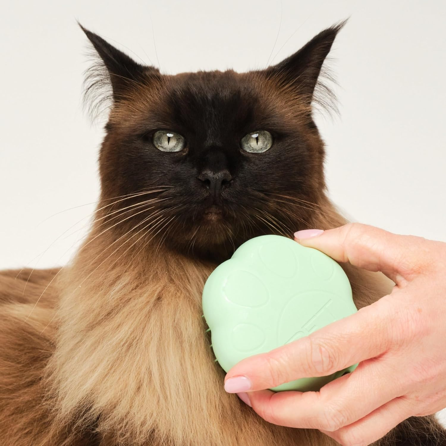 Tangle Teezer | Pet Teezer | Cat Grooming Brush | Short, Medium Hair | Soft Bristles to Detangle Knots | Green - Pink image number 7