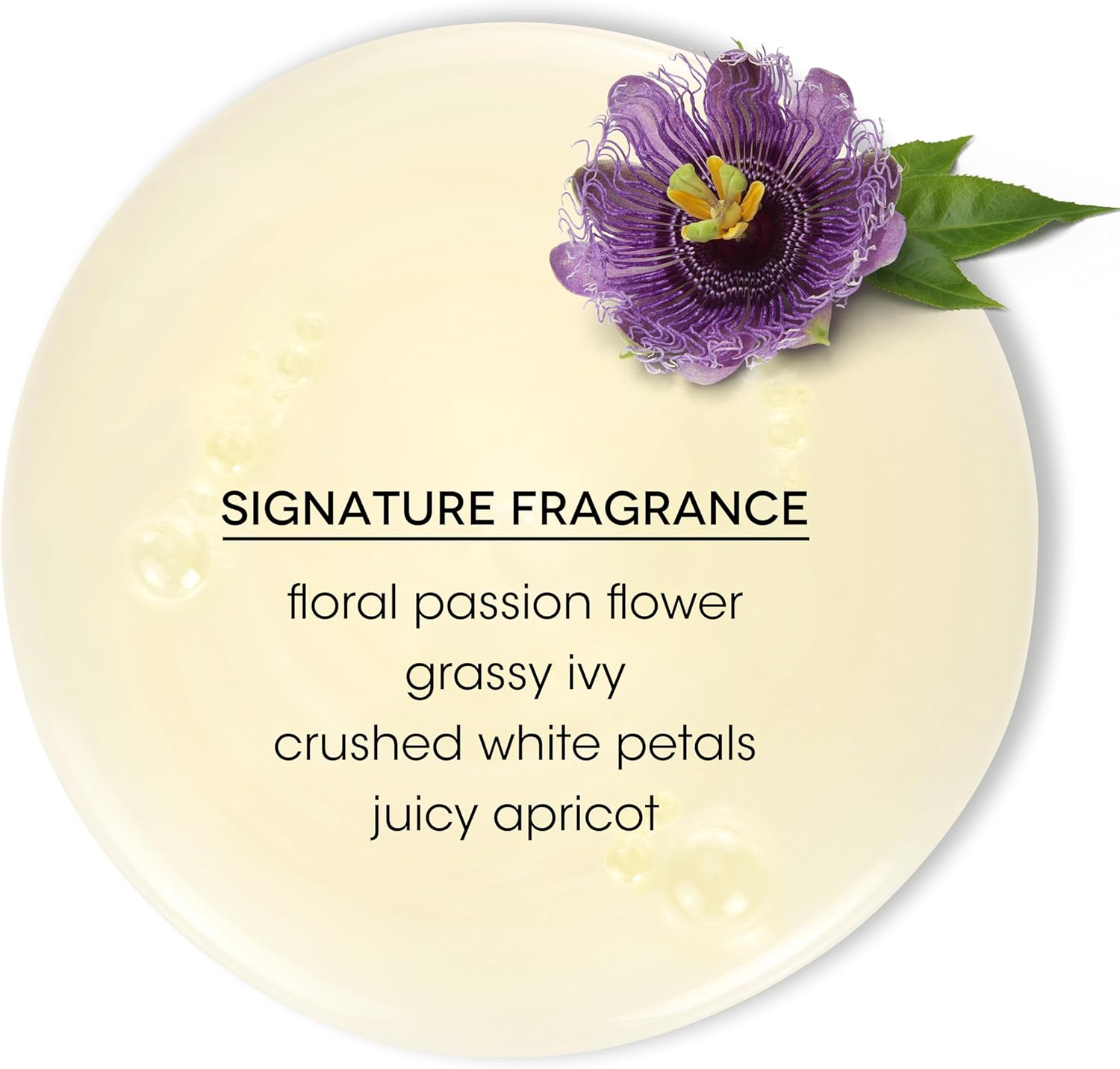 Bain De Terre Color Preserving Shampoo | Passion Flower | Color-Treated Hair | Argan & Monoi Oils | Paraben Free | 13.5 Fl Oz image number 4