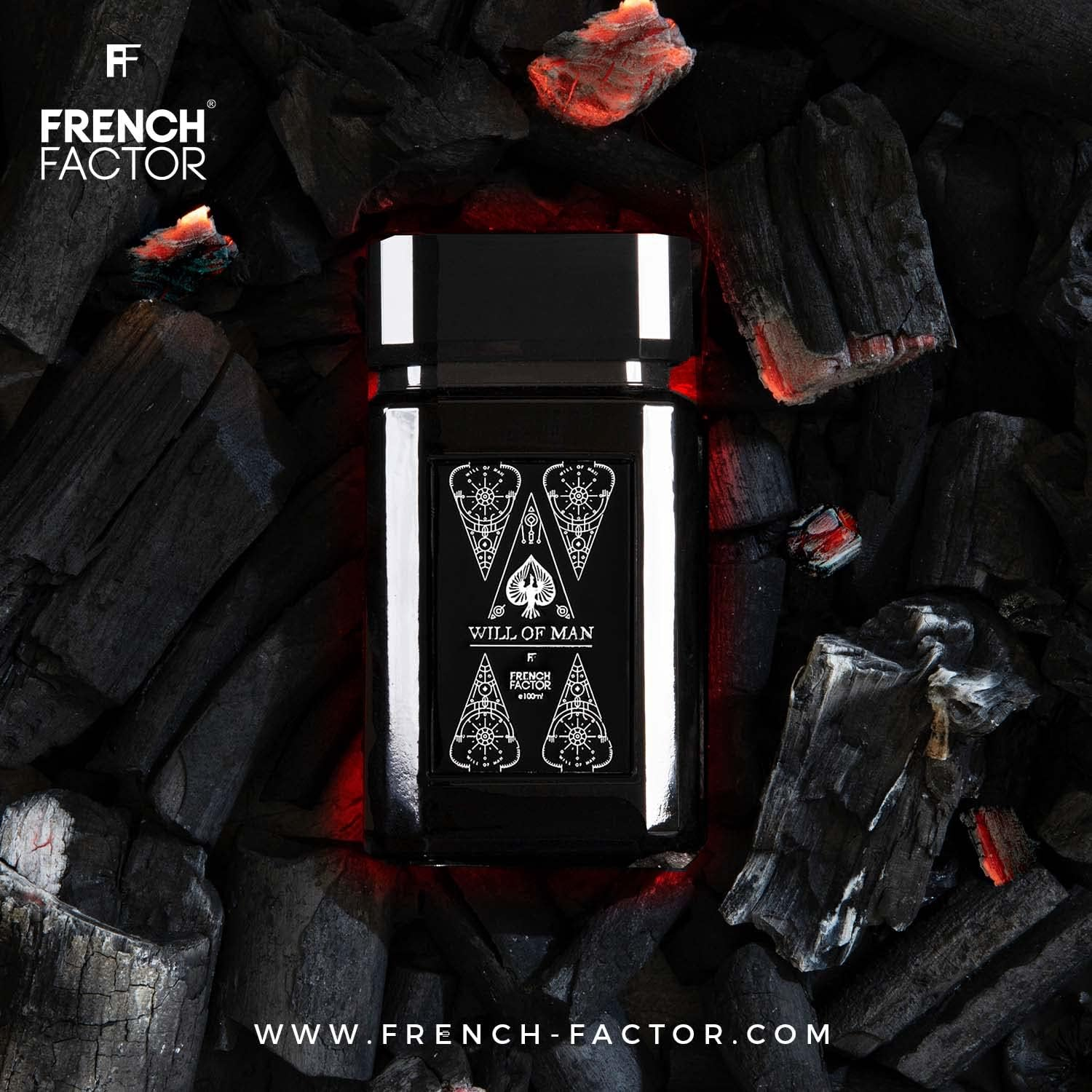 French Factor Will of Man Perfume for Men (100Ml) image number 3