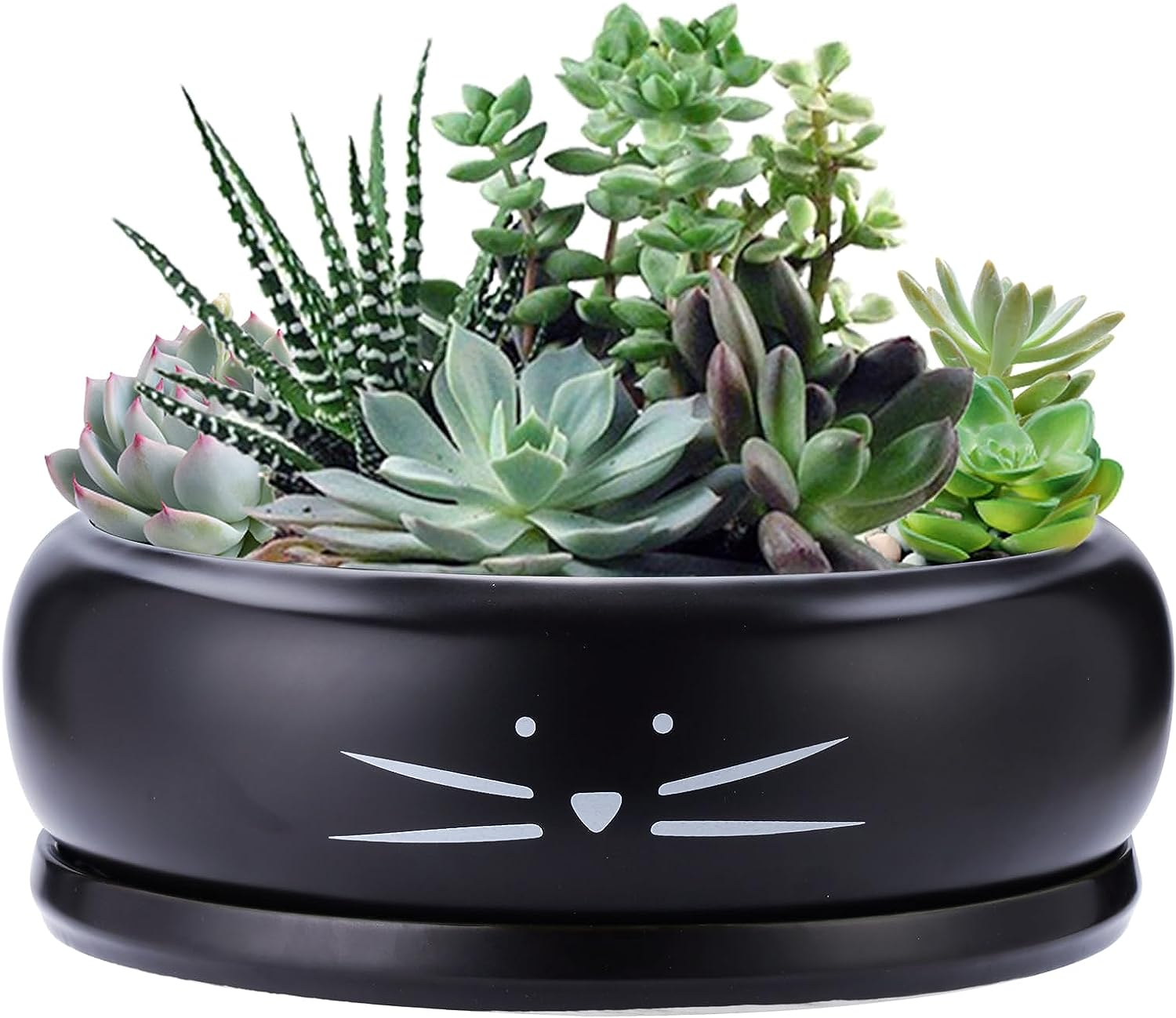 Koolkatkoo 8 Inch Large Cute Cat Ceramic Succulent Planter Pots with Removable Saucer Unique Porcelain Cactus Planters Decorative Flower Pot for Cat Lovers White