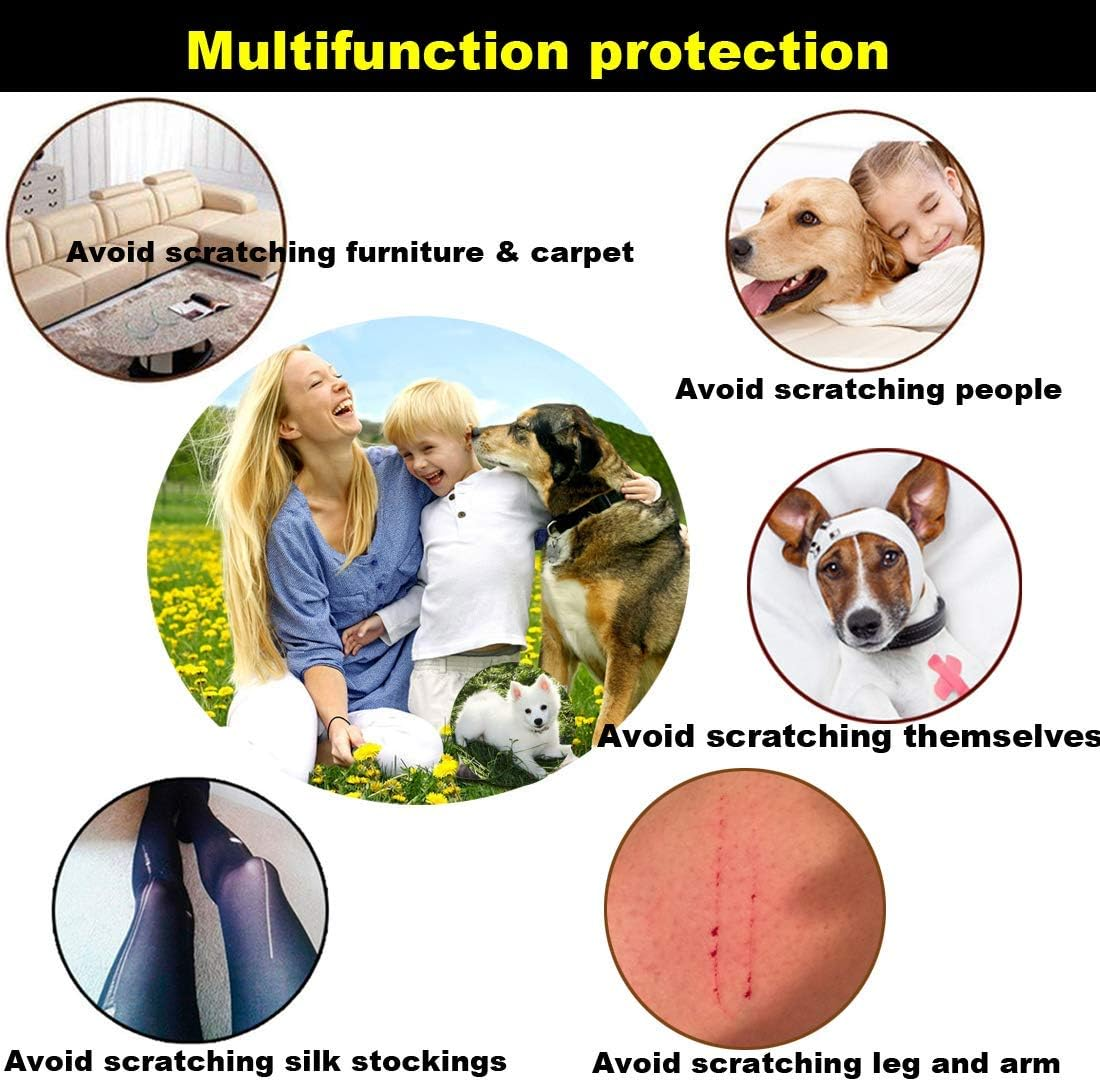 100Pcs Pet Puppy Dog Nail Soft Claw Paws Covers Caps, Control Paws Claws Covers of 5 RANDOM+ 5 Adhesive Glue,Xxl image number 4