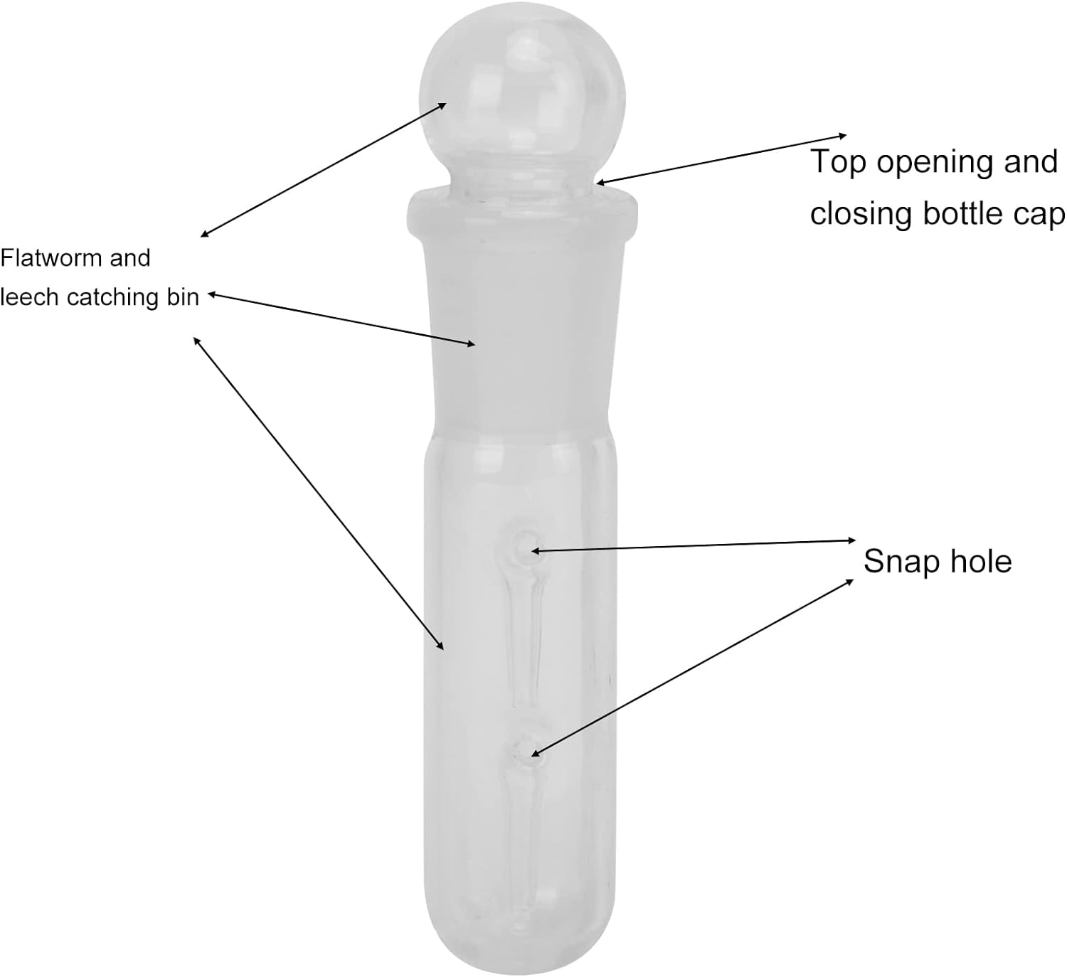 Planaria Trap, Clear Glass High Brightness Planar Leech Trap Tube Red Shrimp Crystal Cherry Shrimp Dwarf Shrimp image number 4