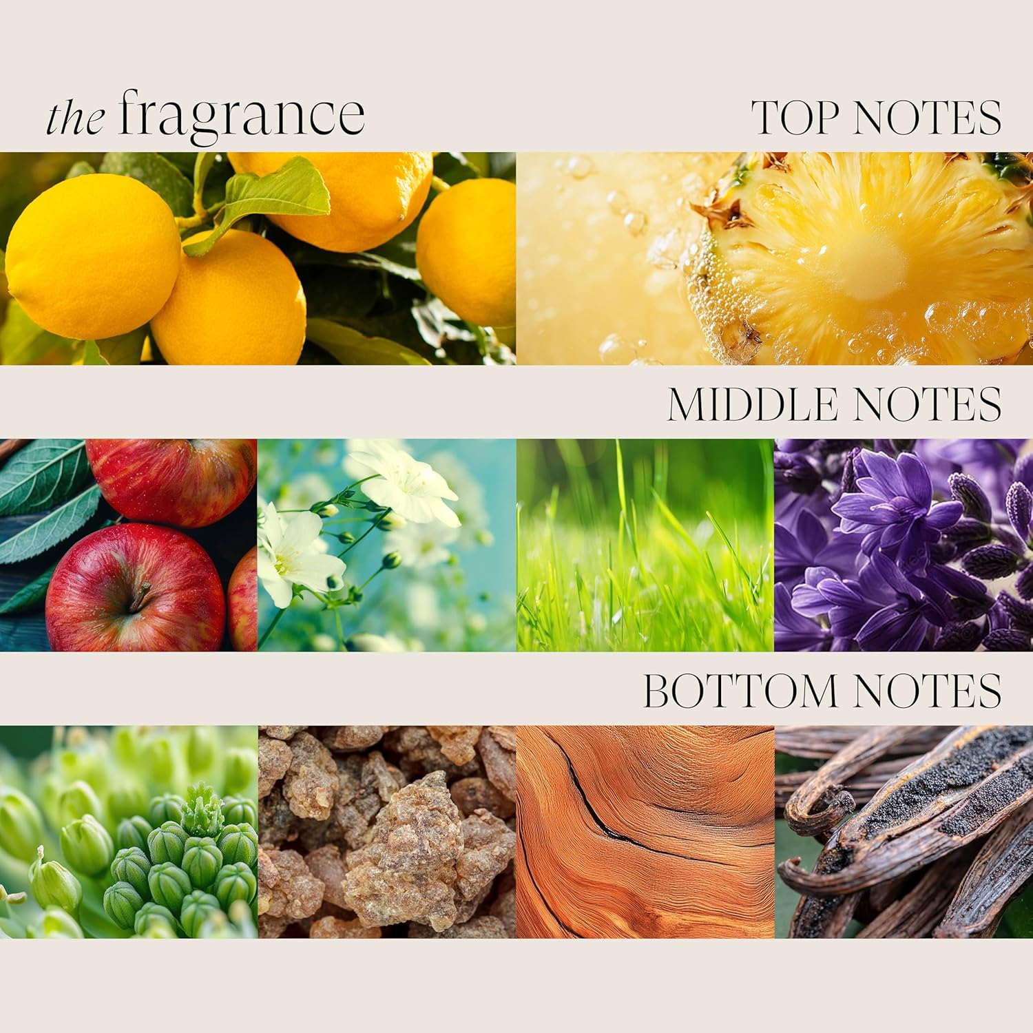 L'ANZA 40010B Healing Colorcare Preserving Shampoo, 300 Ml image number 1