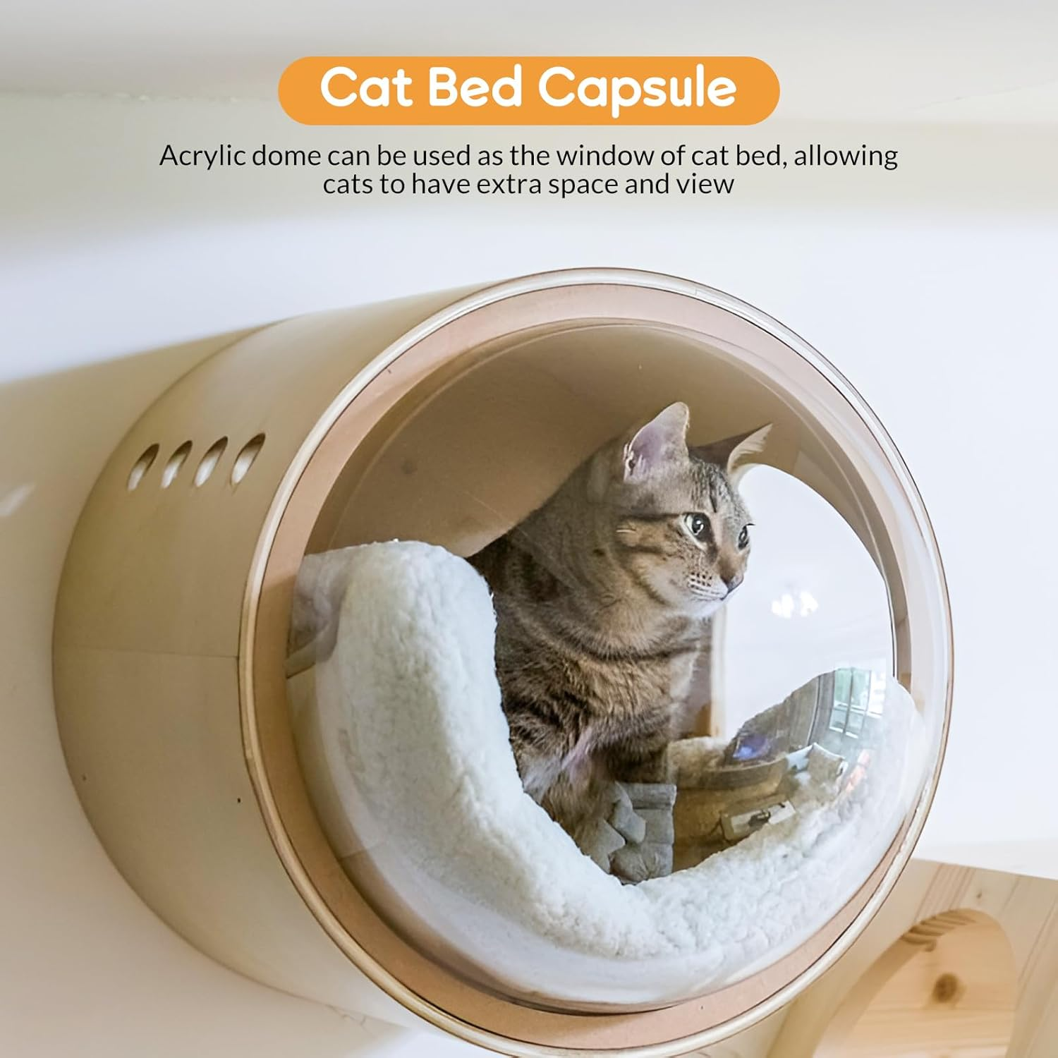 Space Clear Capsule Dome Cover, Acrylic Nest Bed Replacement for Cat Hammock, Tree Shelves, Window Perch DIY Accessories (40Cm) - 40Cm image number 6