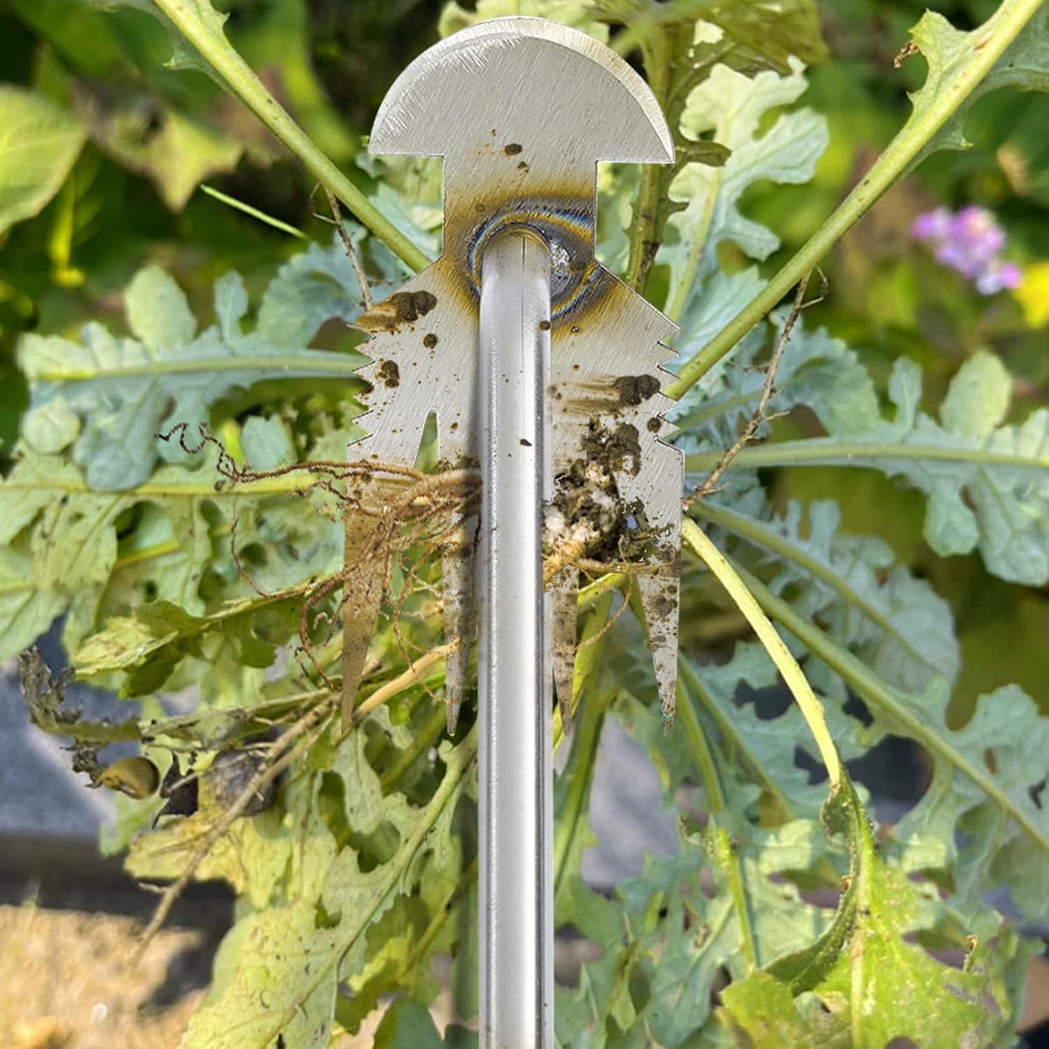 Weed Puller Tool, Rubber Handle Garden Manual Weeder Tool, Portable Stainless Steel Weeding Tools, for Hand Weeder Puller for Vegetable Gardening Backyard Farm Planting & Uprooting Weeding Tool