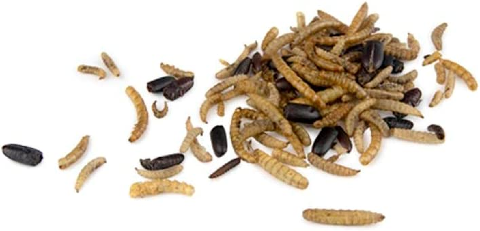 Bainbridge Dried Mealworms and Bug Mix 750 G