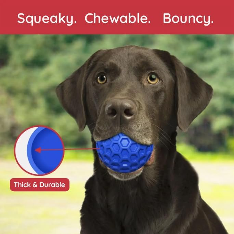 DDCAN Blue Rubber Dog Ball 80Mm Strong and Durable High Rebound with Sound Easy to Clean Indoor Outdoor Use image number 4