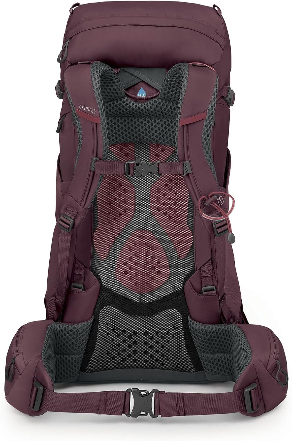 Osprey Osprey image number 4