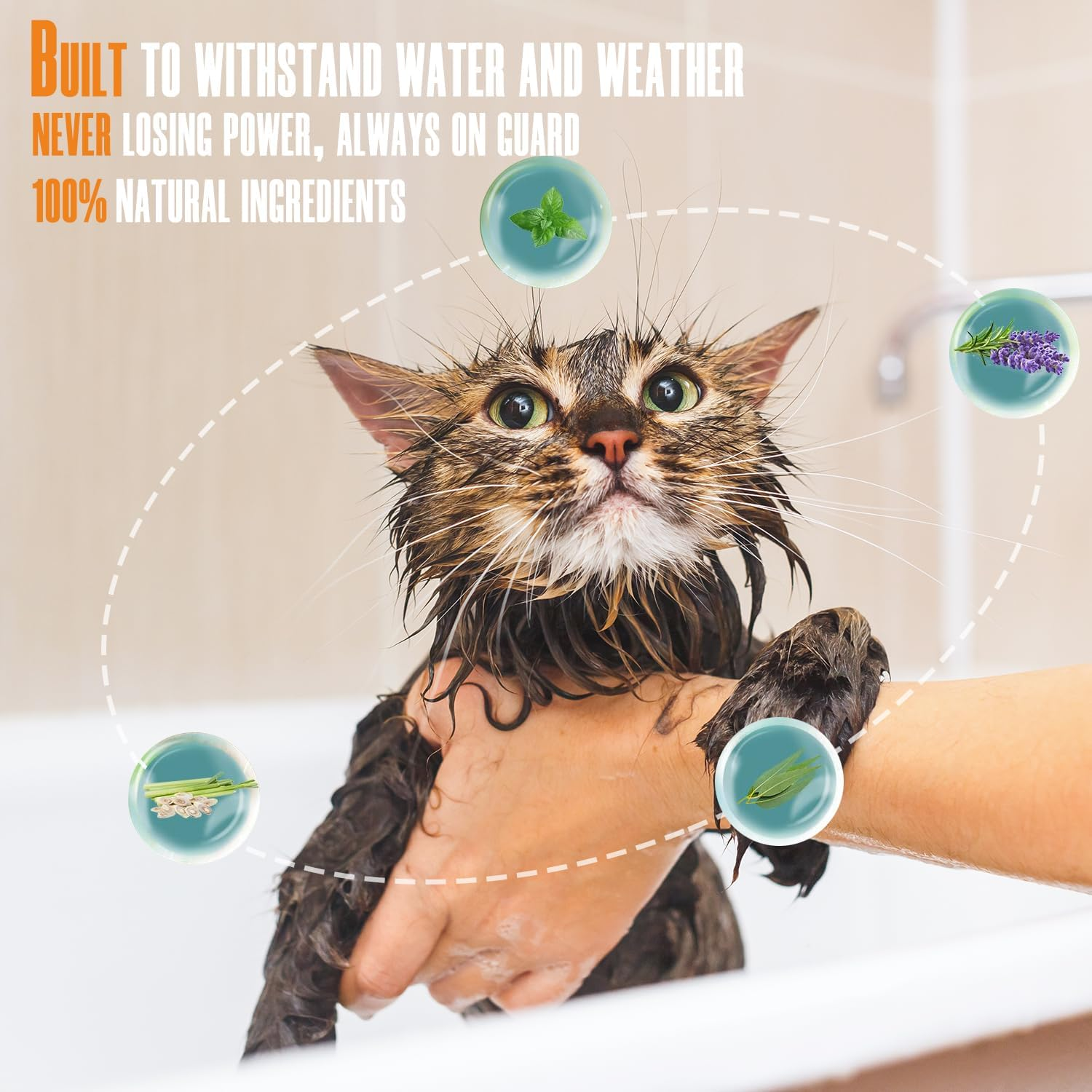 Pets4Luv Flea and Tick Collar for Cats, Natural Flea and Tick Prevention for Cats, 8 Months of Protection, One Size Fits All Cats, Adjustable and Waterproof, Pack Of, 3Pcs image number 3