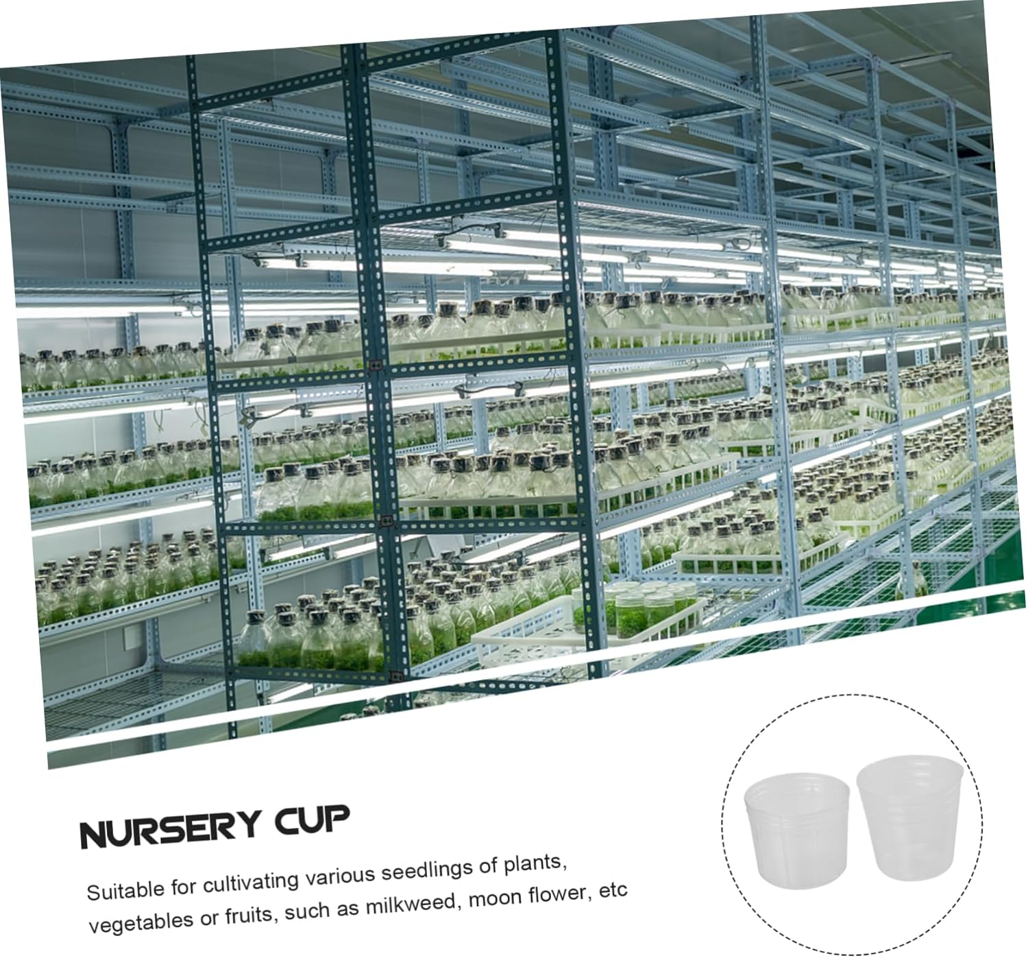 INOOMP 50Pcs Plant Nursery Cups with Dust Covers, 1.5-Inch Seedling Raising Pots for Outdoor Gardening, Flower Nutrient Cups for Orchid and Butterfly Seedlings image number 1