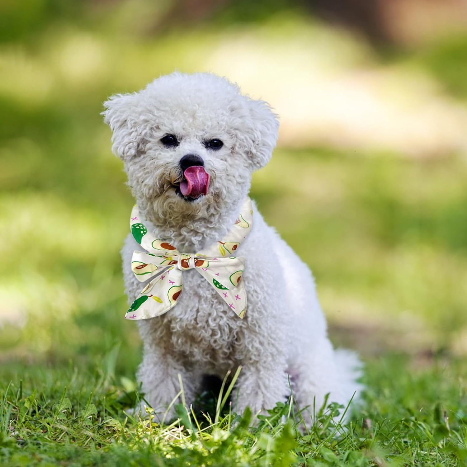 Cooling Bandana for Dogs, Cooling Ice Collar for Dogs, Pet Cooling Scarf, Breathable Dog Cooling Collar, 2 Pieces Cat Bandana Ice Collar, for Cats, Dogs, Camping in Summer (Green + White) image number 4