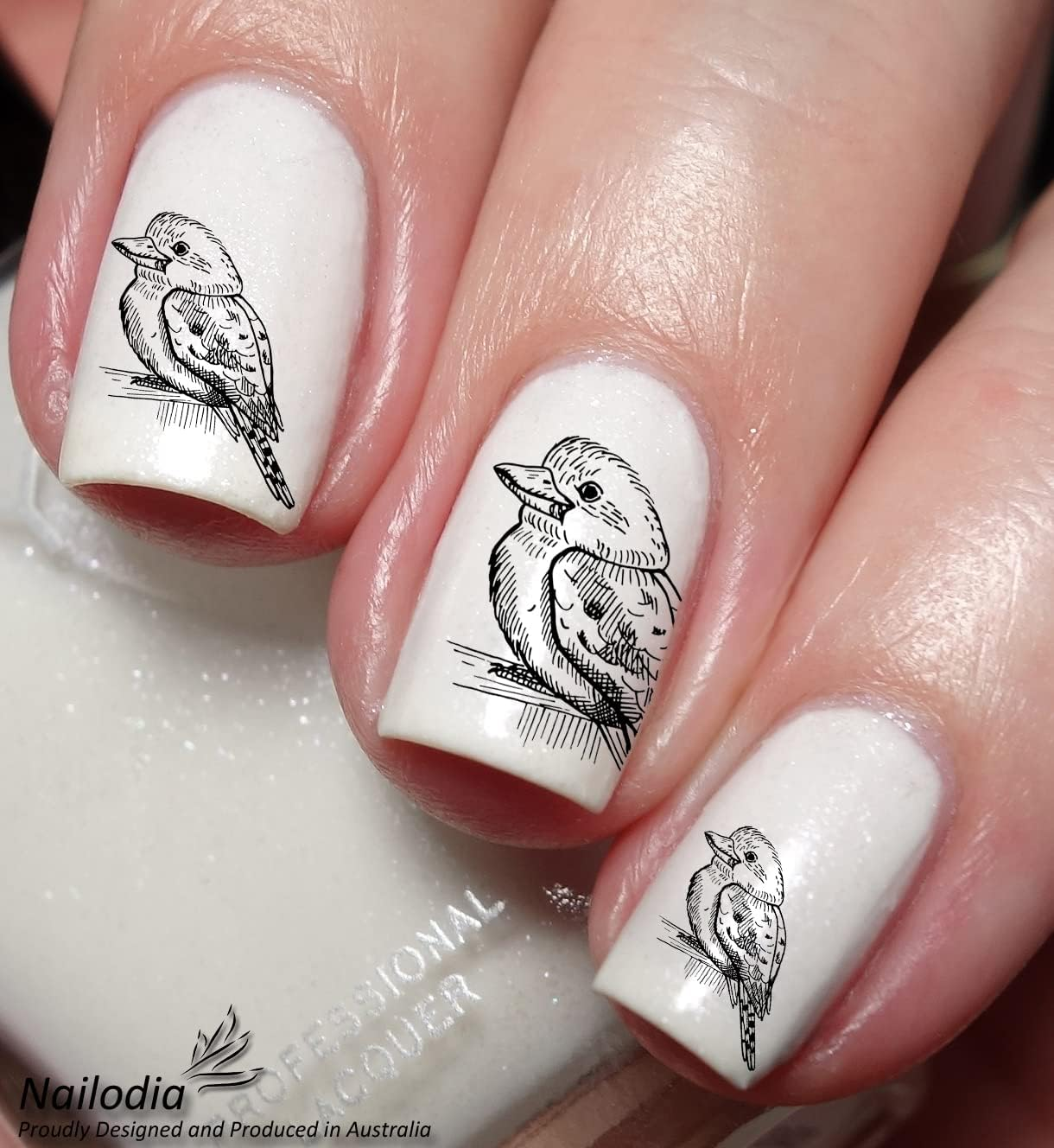 Cute Kookaburra Bird Nail Art Decal Sticker image number 1