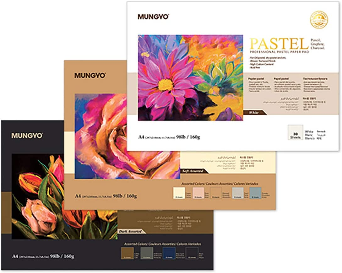 MUNGYO Professional Pastel Paper Pad A4 Size for Oil Pastel, Dry Pastel 30 Sheets (Dark Assorted)