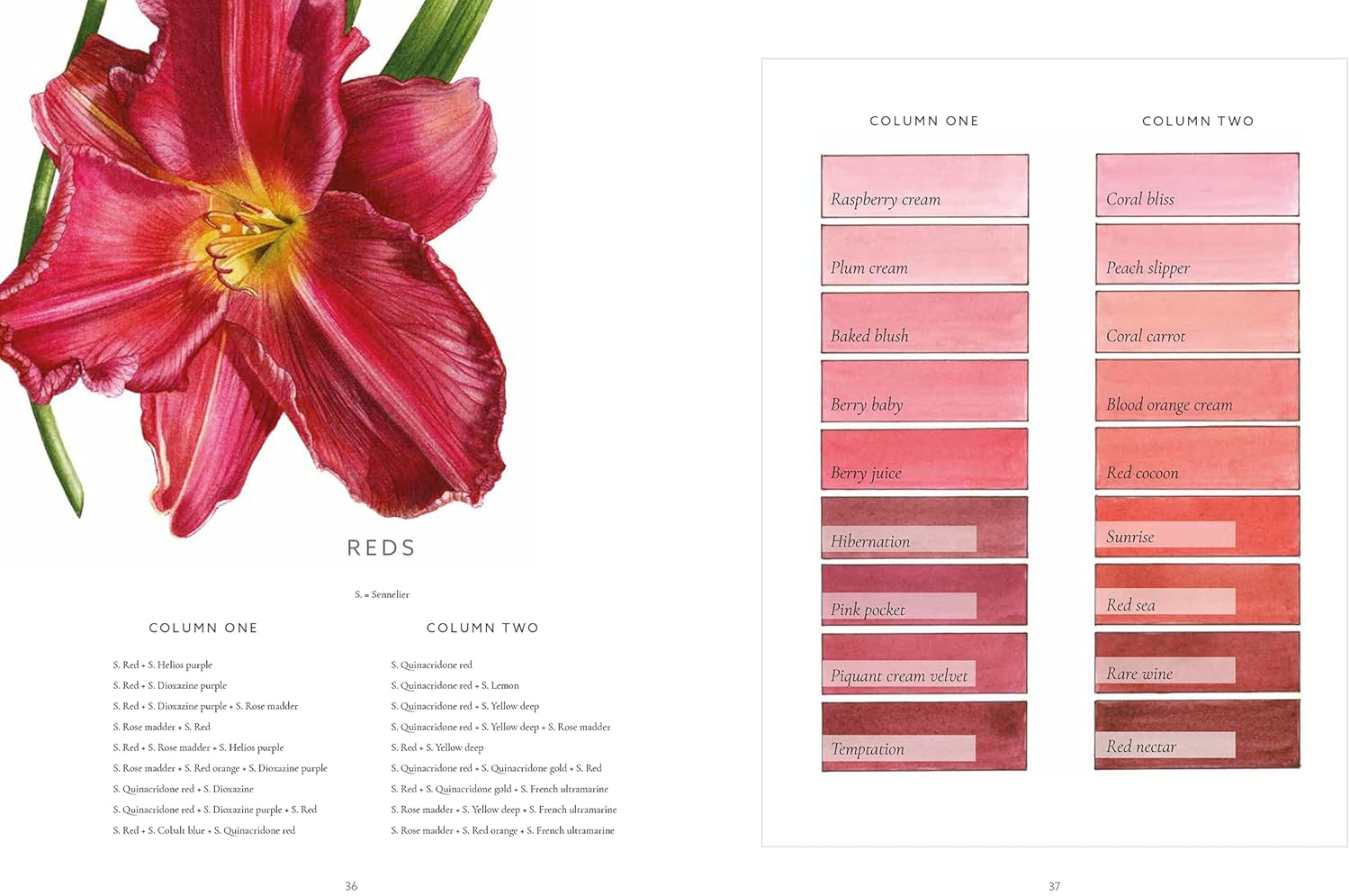 The Botanical Shoes: a Collection of Botanical Shoe Paintings in Watercolour and Words image number 5