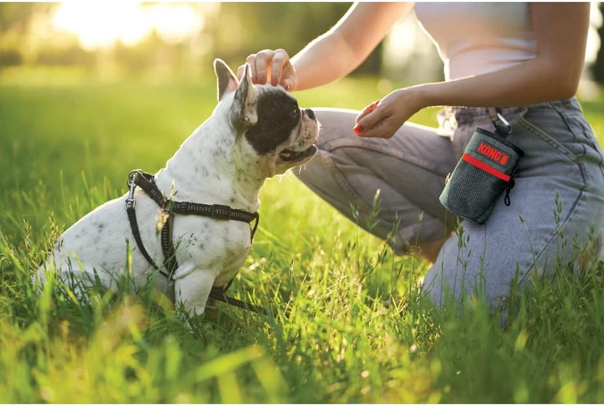 Kong Train and Treat Pet Reward Bag image number 4