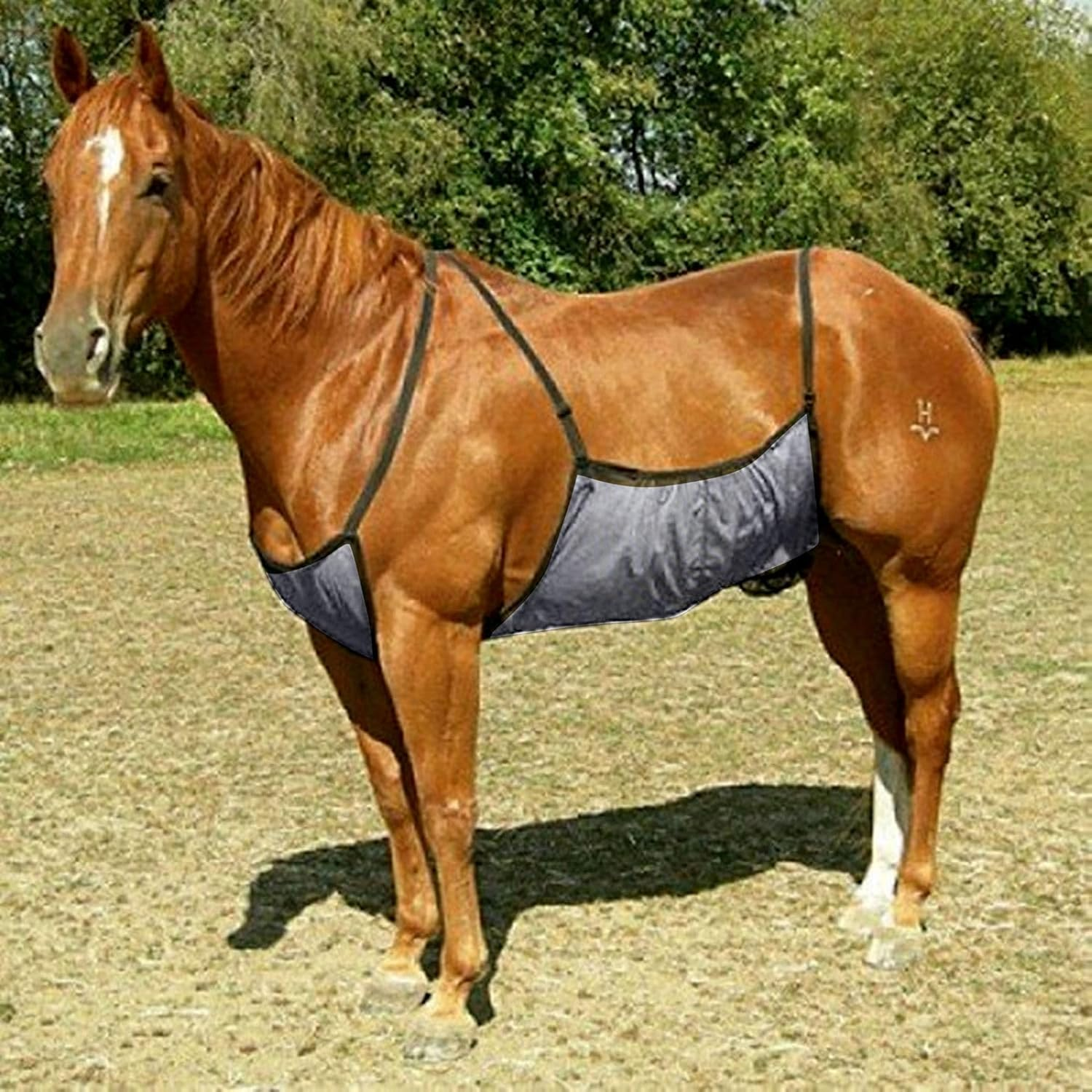 Horse Belly Guard, Horse Ride Lightweight & Breathable Fly Sheet Mesh, Belly Protector with Adjustable Straps for Riding Stable Setting Equine Guard Sheet image number 3