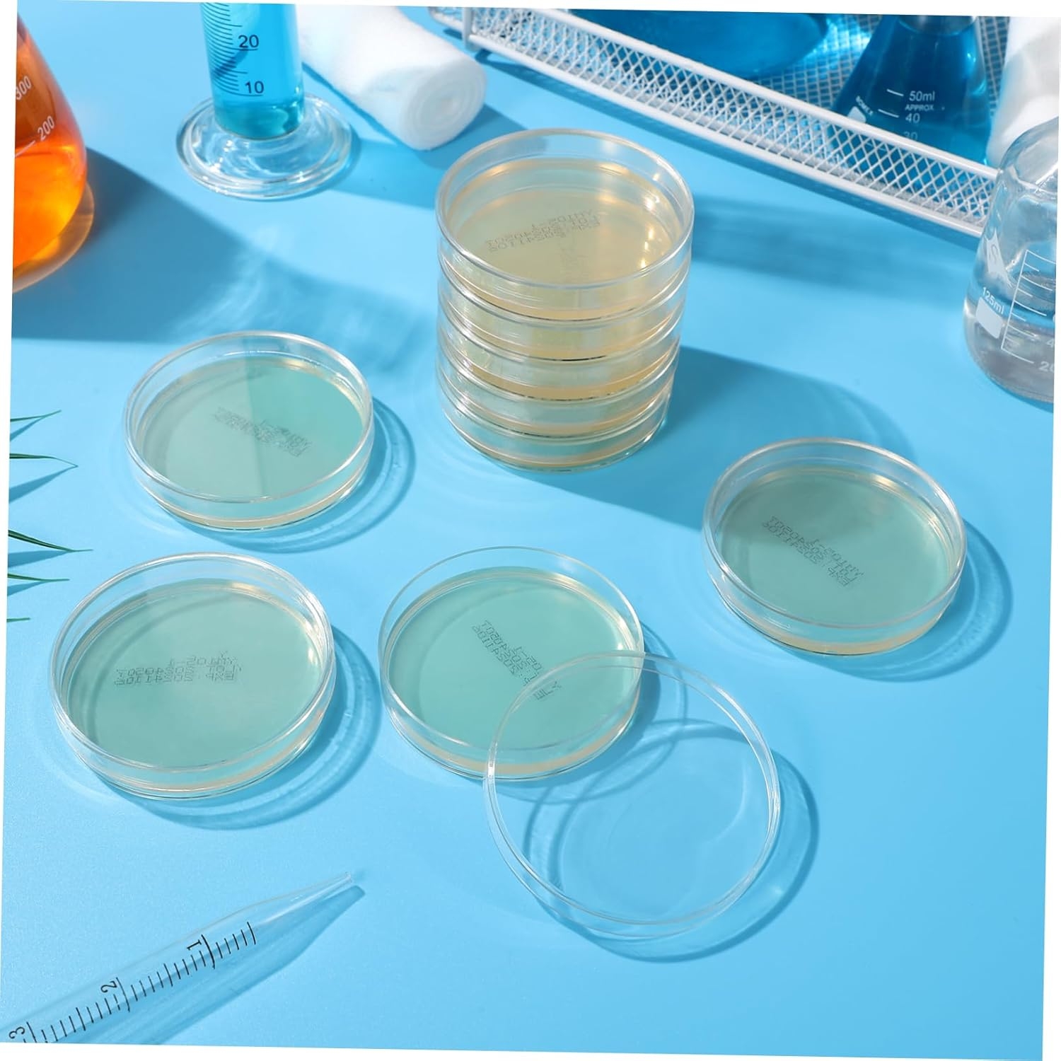 Didiseaon 10Pcs Pre-Poured Agar Plates Nutrient Agar Petri Dishes for Science Experiments Thick Agar for Growth Laboratory Supplies for Use Prepoured Petri Dishes image number 1