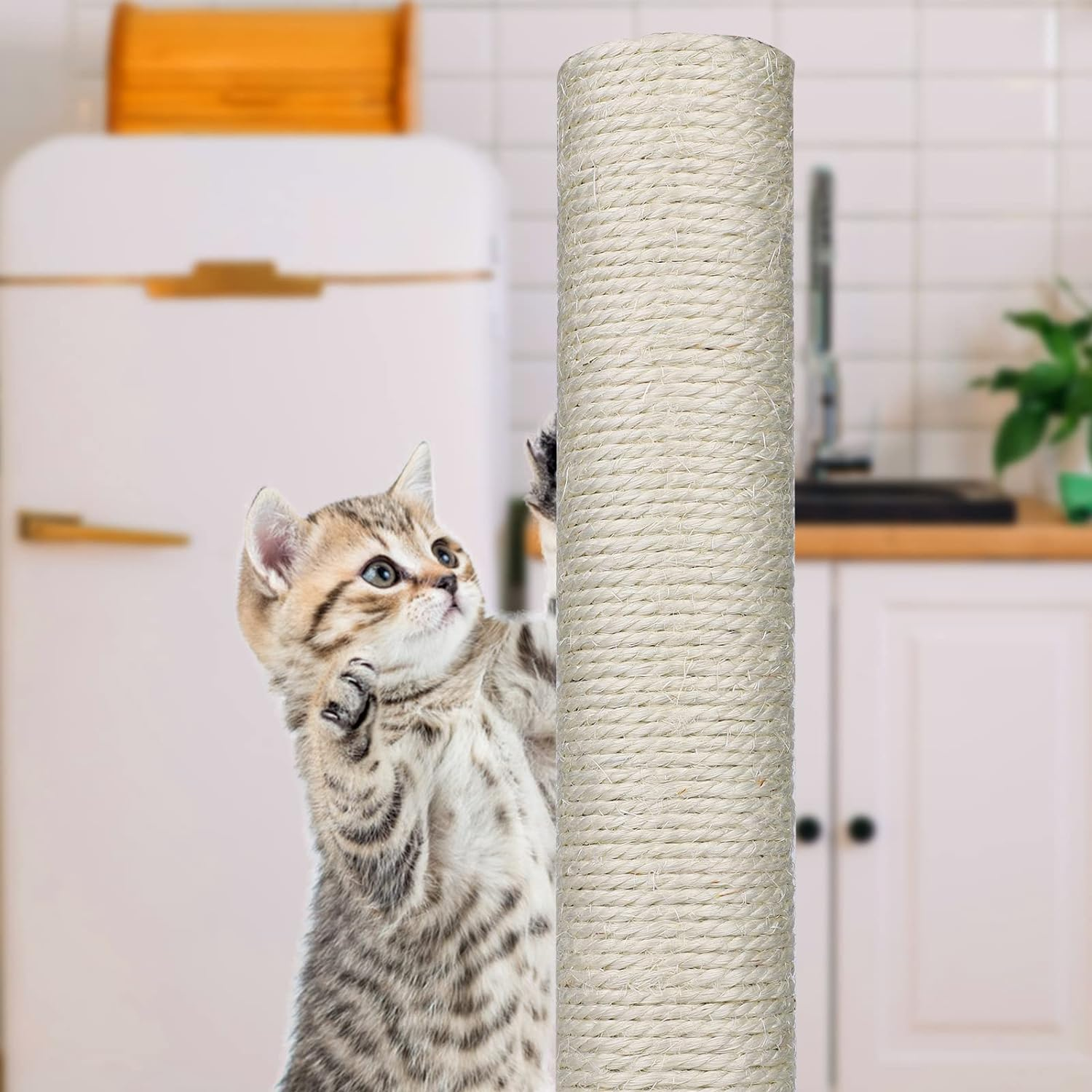 2Pcs Cat Scratching Post Replacement, 15.7 Inch Cat Tree Scratch Post with 4 M8 Screws Natural Sisal Replacement Poles for Kittens Cat Tree Tower