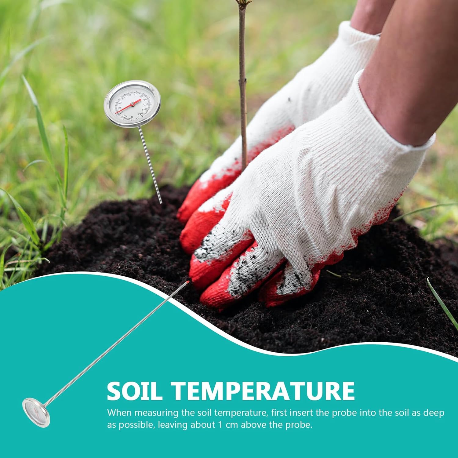 Stainless Steel Soil Thermometer Probe with Scale Precision Compost Thermometer Tool for Gardening Long Stem Temperature Detector C-