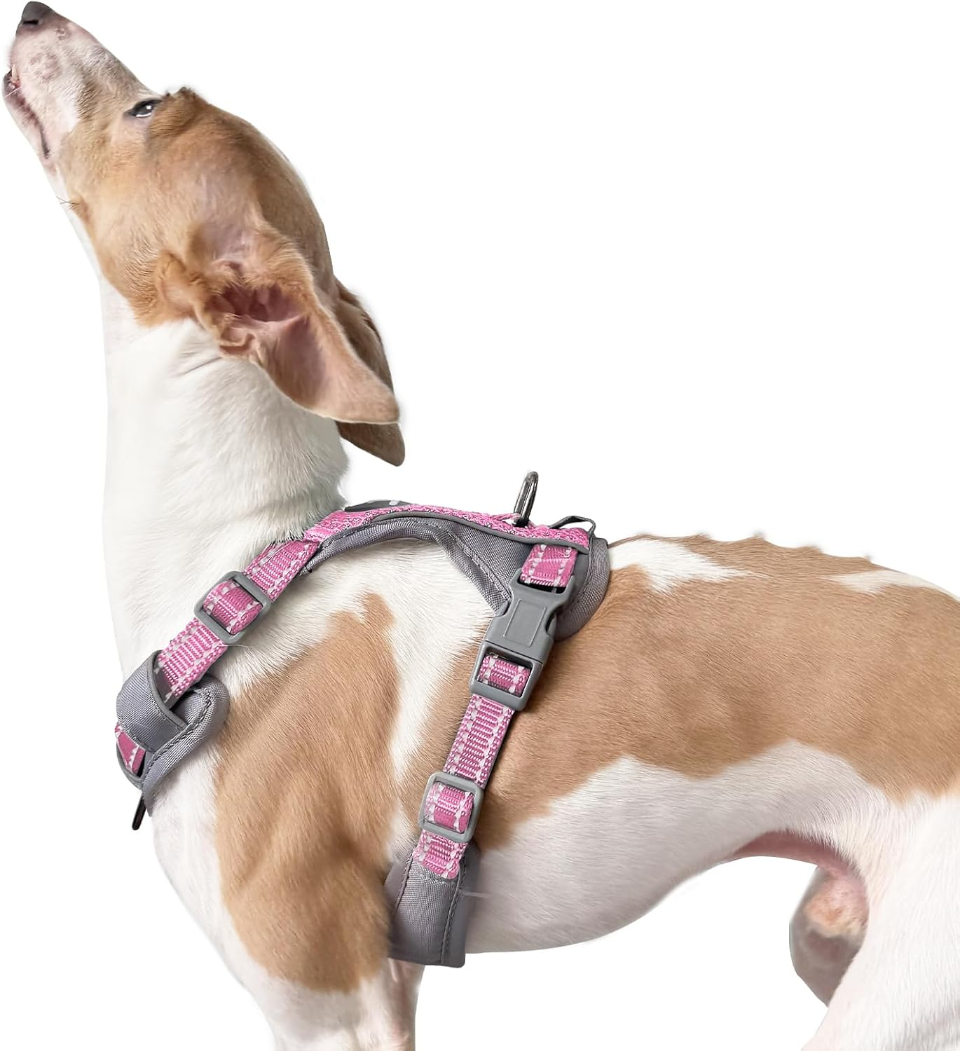 Huntboo No-Pull Dog Harness, Fully Reflective Vest with 2 Leash Clips, No-Choke, Adjustable, Breathable & Durable for Small, Medium & Large Dogs Walking, Training, Running (Light Pink, L)