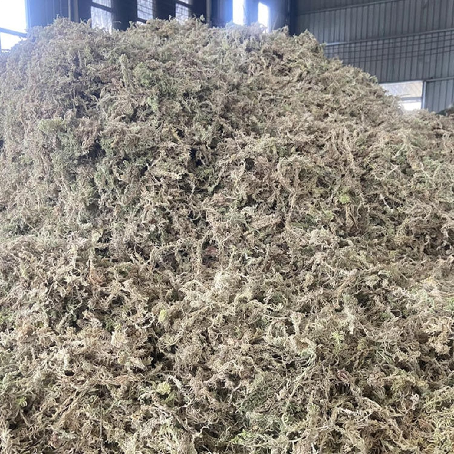 Rronnoy Sphagnum Moss for Orchids - Natural Orchid Moss,Floral Supplies for Houseplant Terrariums Aquarium Floral Crafts Tank Outdoor Pond Gardening Indoor