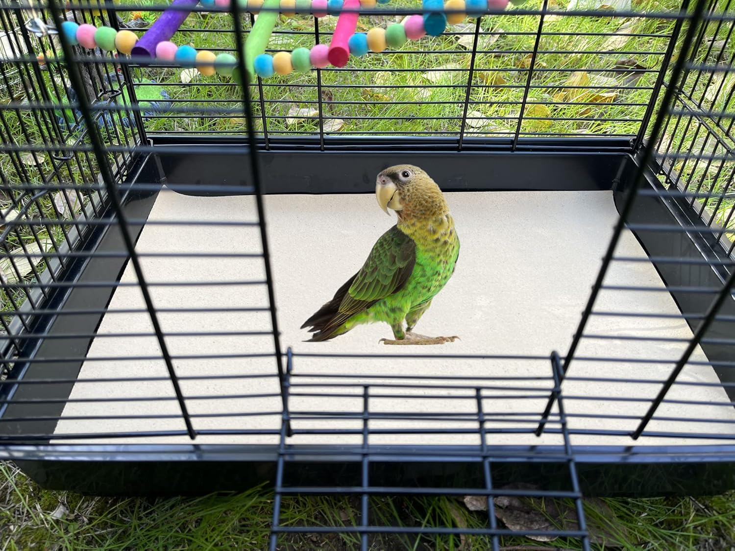 Gravel Paper for Bird Cage,Birdcage Liner Papers Cuttable Gravel Liner Sea Sand Paper Pet Animal Cages Cushion Great for Hard-Billed Birds Parrot | Clean Safe & Aids in Digestion (8 PCS - 17" X 11") image number 2