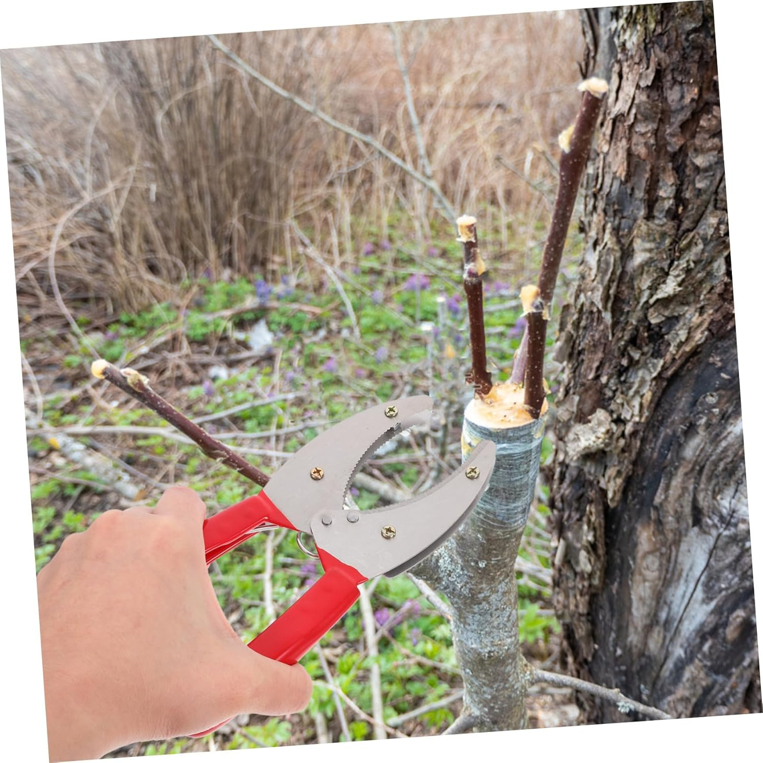 Mipcase Girdling Cutter for Fruit Trees Compact Hand Tool for Plant Stripping and Bark Cutting Lightweight Fruit Planting Tool for Orchards and Gardens image number 5