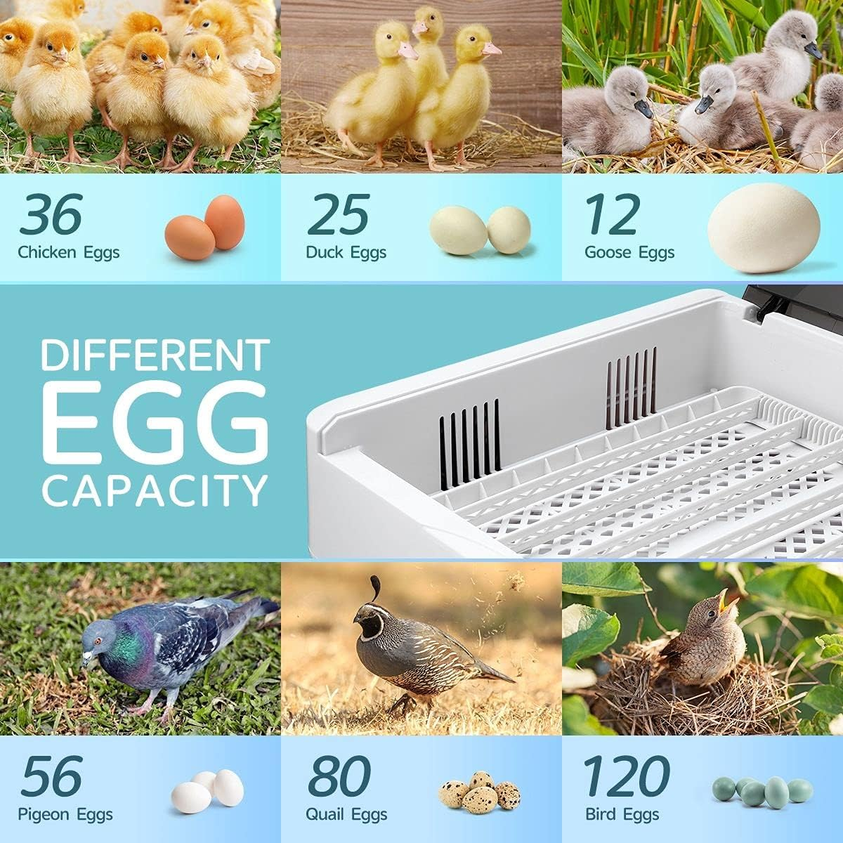Digital Fully Automatic Egg Incubator 36-120 Eggs Poultry Hatcher Chicken Duck Bird Auto Turning image number 1