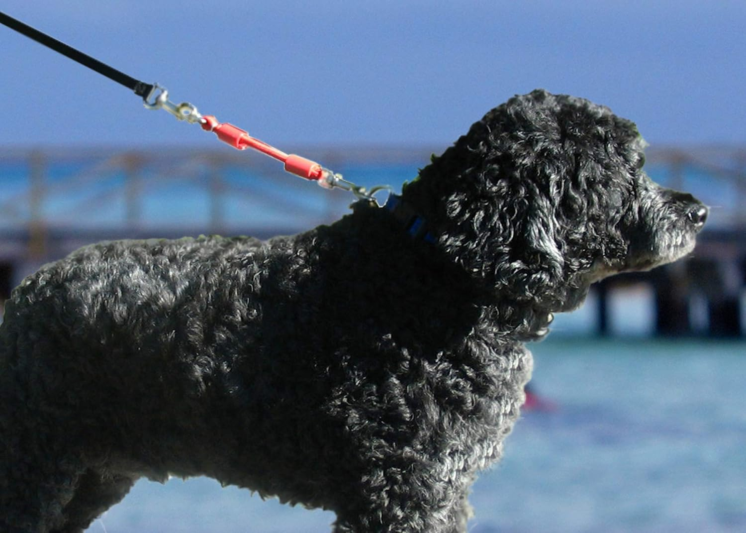 (Medium (Up to 27Kg), Black) - Jerk-Ease Bungee Dog Leash Extension - Patented Shock Absorber Protects You and Your Dog - Works with Any Leash & Collar (Or Harness) - a Must for Retractable Leashes - Click Size/Colour Below image number 3